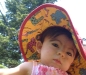 hat model